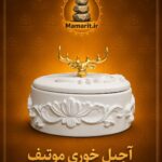 آجیل خوری موتیف