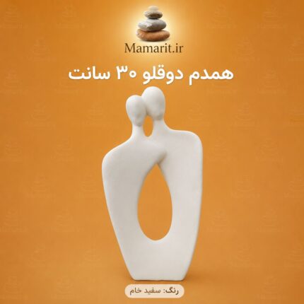 همدم دوقلو
