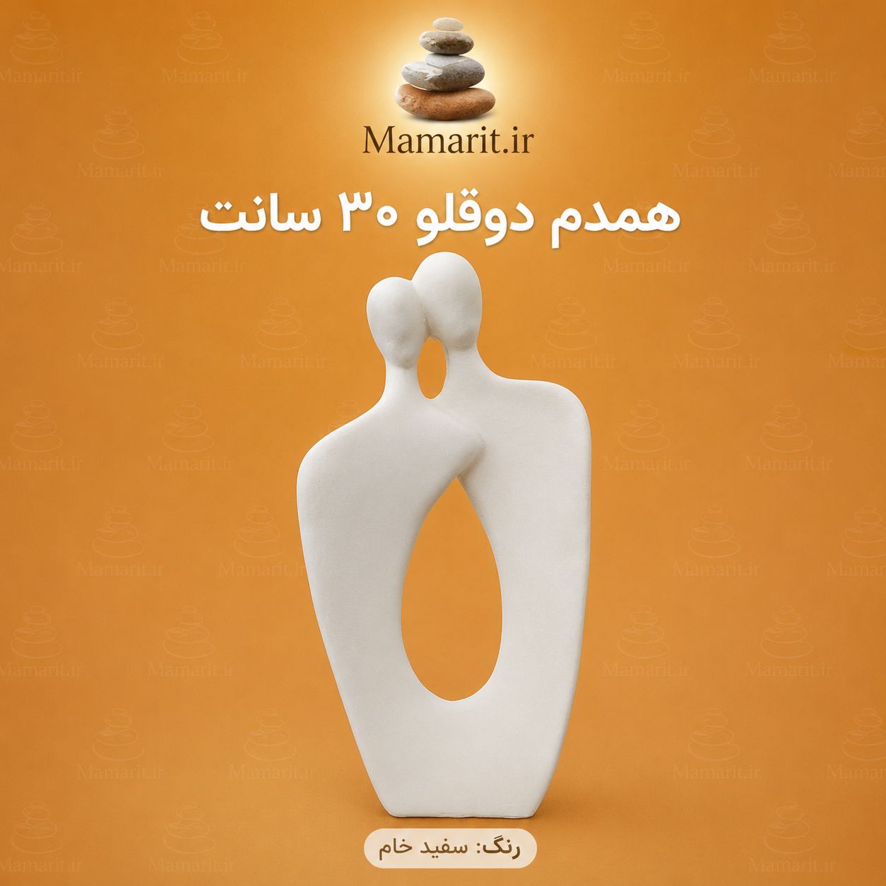 file_00000000b22c81f4a0a3f4c19472a00b همدم دوقلو - تصویر 1